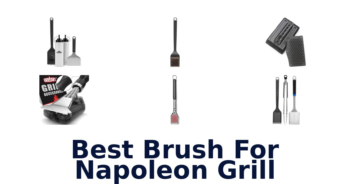 best brush for napoleon grill