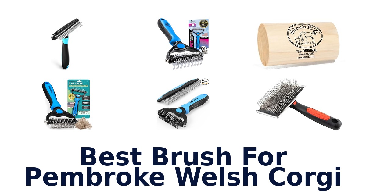 best brush for pembroke welsh corgi