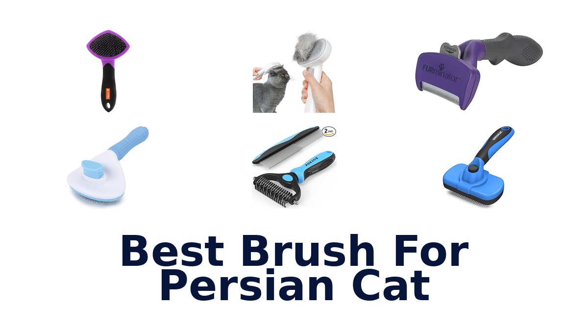 best brush for persian cat