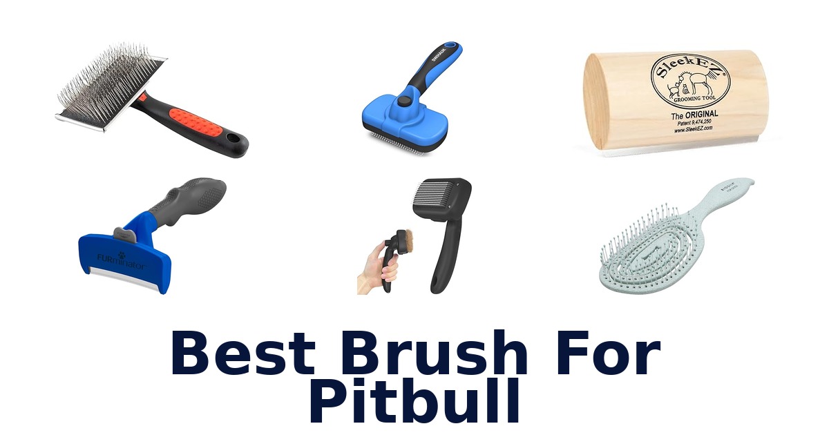 best brush for pitbull