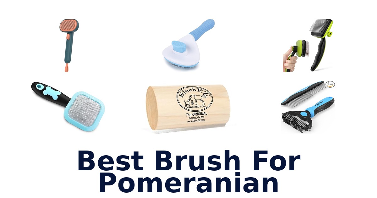 best brush for pomeranian