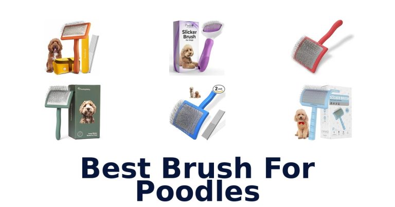 best brush for poodles