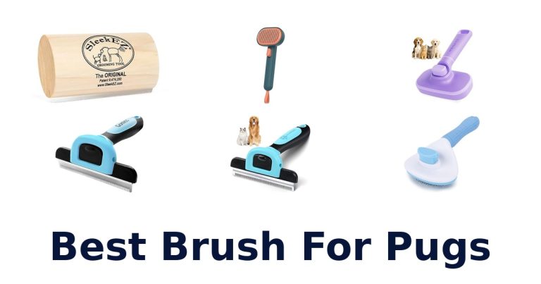 best brush for pugs