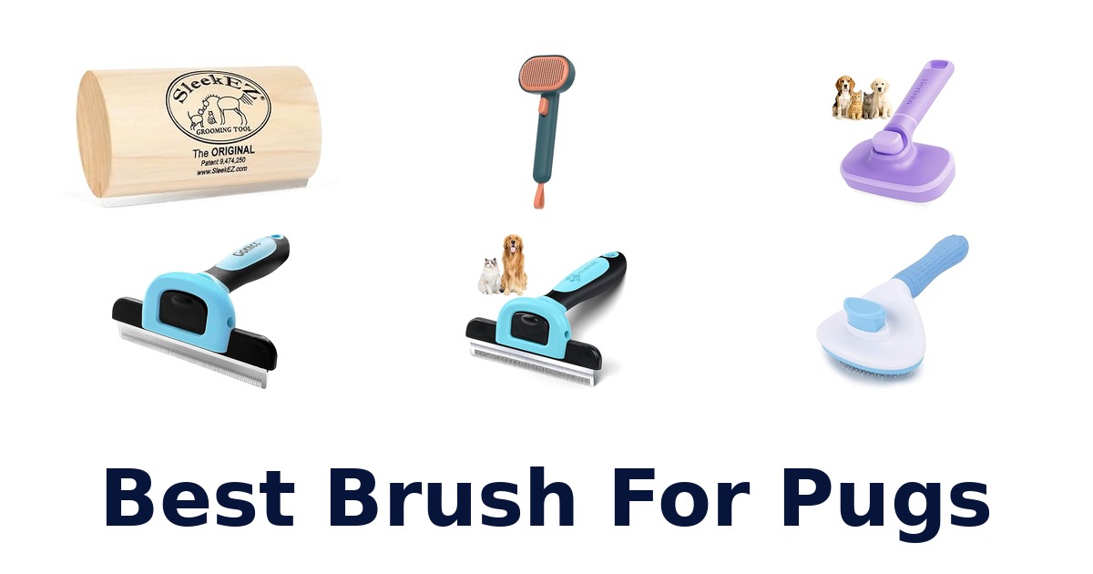 best brush for pugs