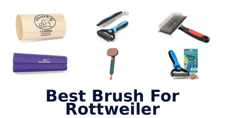 best brush for rottweiler
