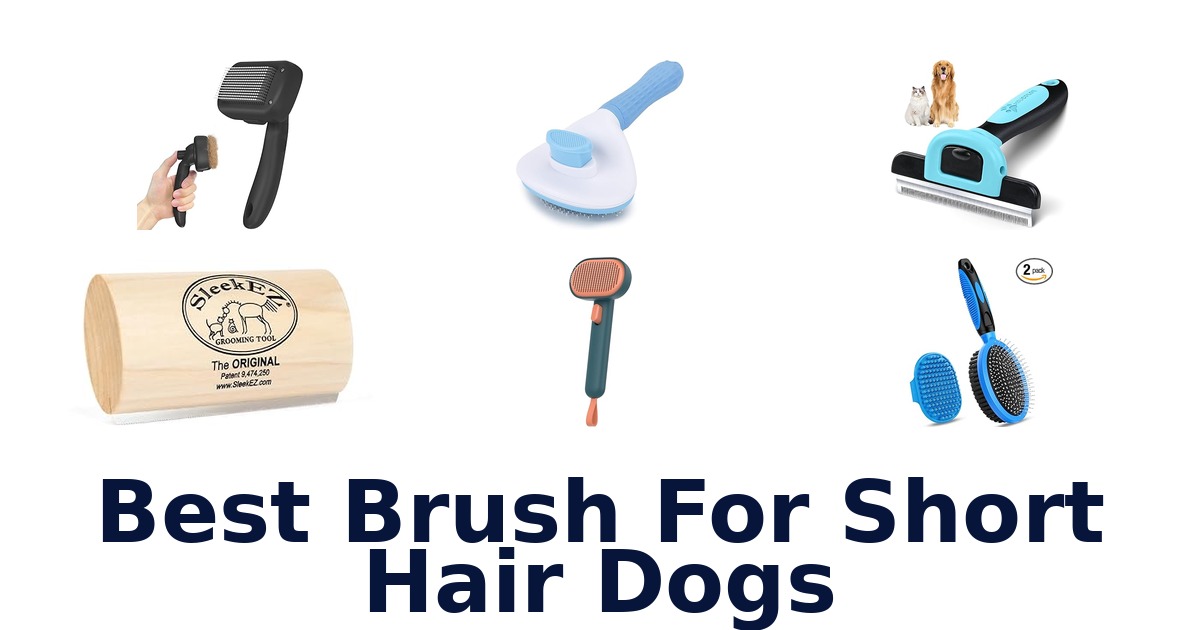 best brush for short hair dogs