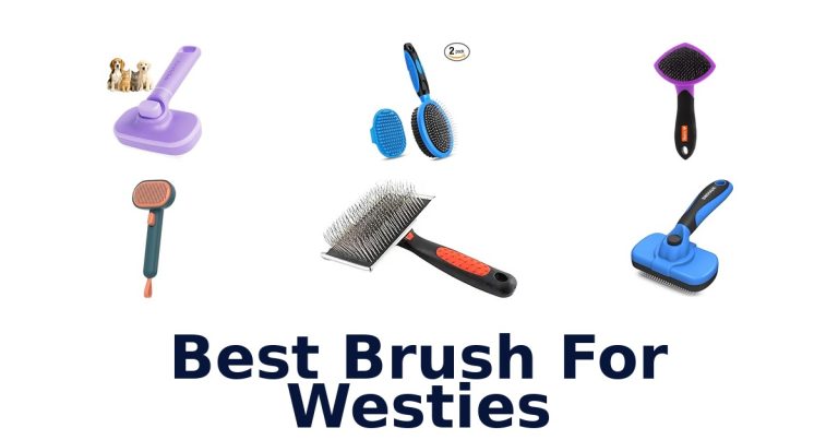 best brush for westies