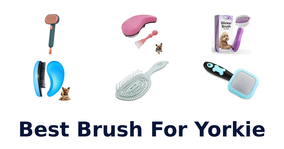 best brush for yorkie
