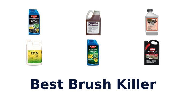 best brush killer