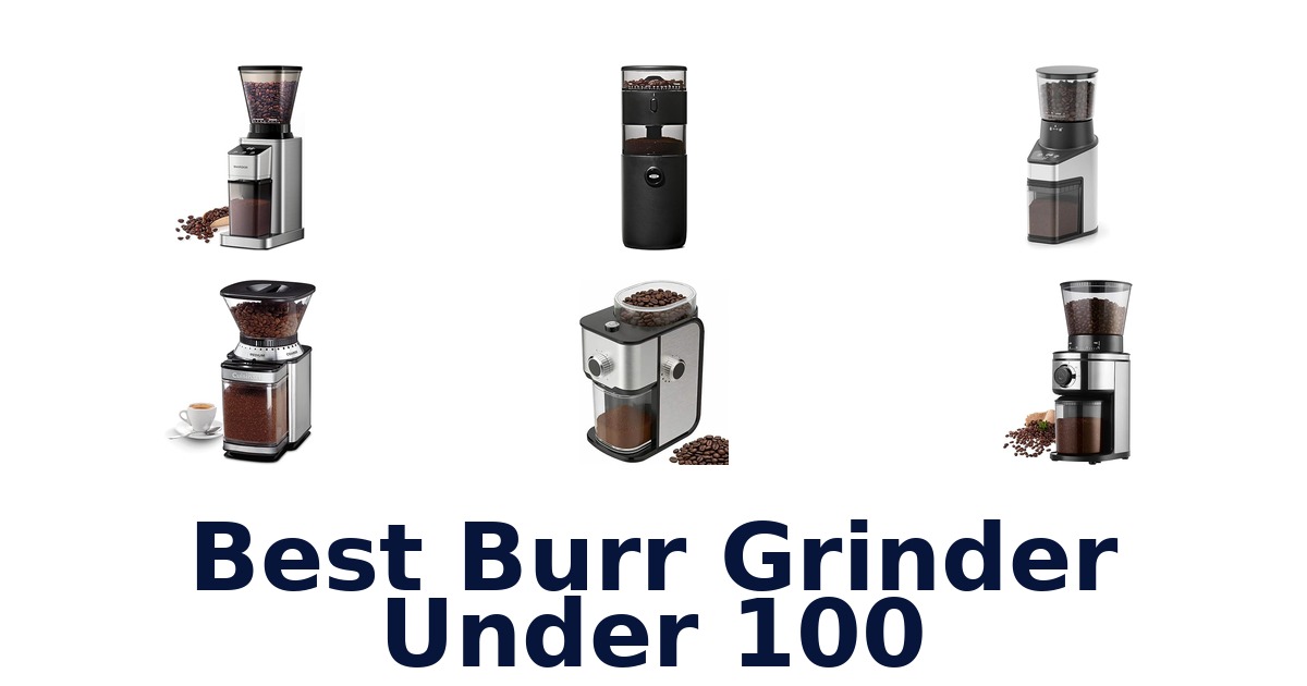 best burr grinder under 100
