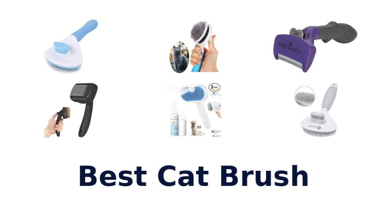 best cat brush