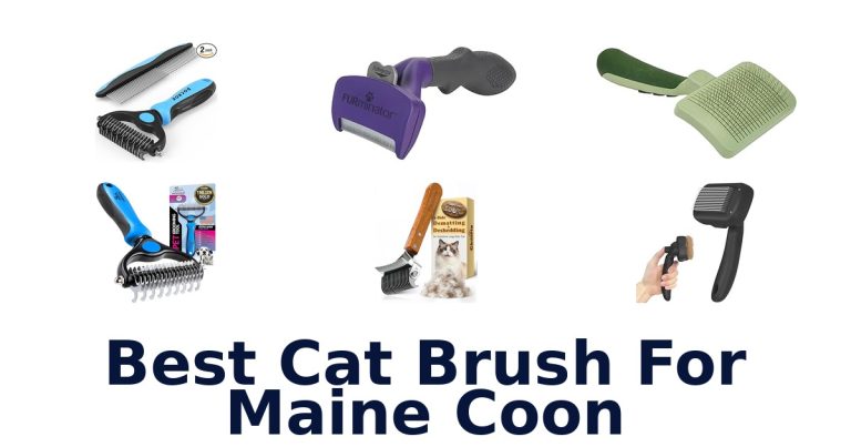 best cat brush for maine coon