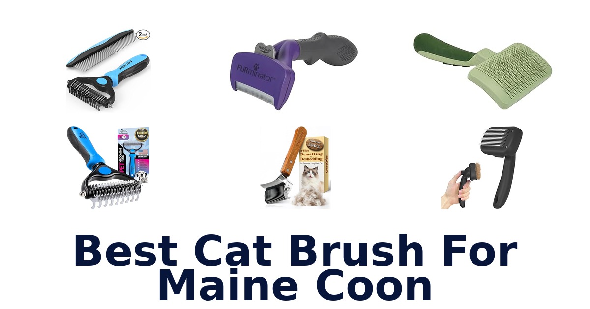 best cat brush for maine coon