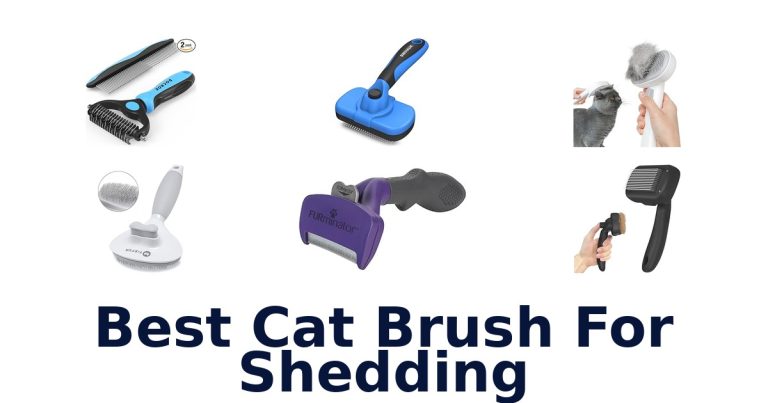 best cat brush for shedding