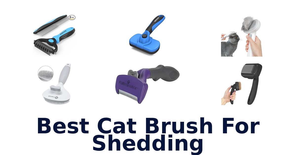 best cat brush for shedding