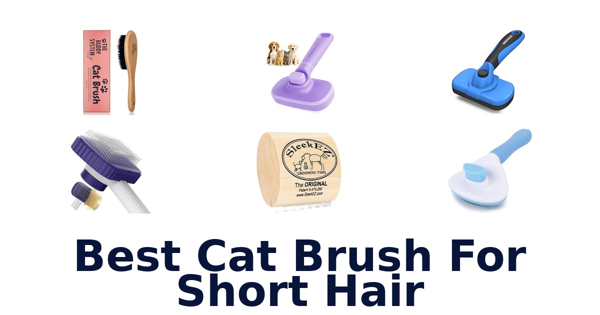 best cat brush for short hair