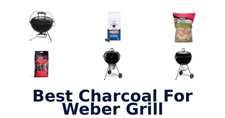 best charcoal for weber grill