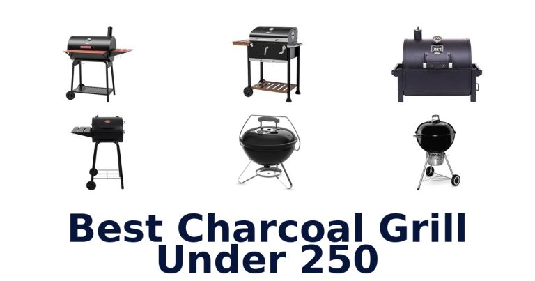 best charcoal grill under 250