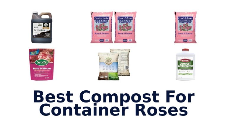 best compost for container roses