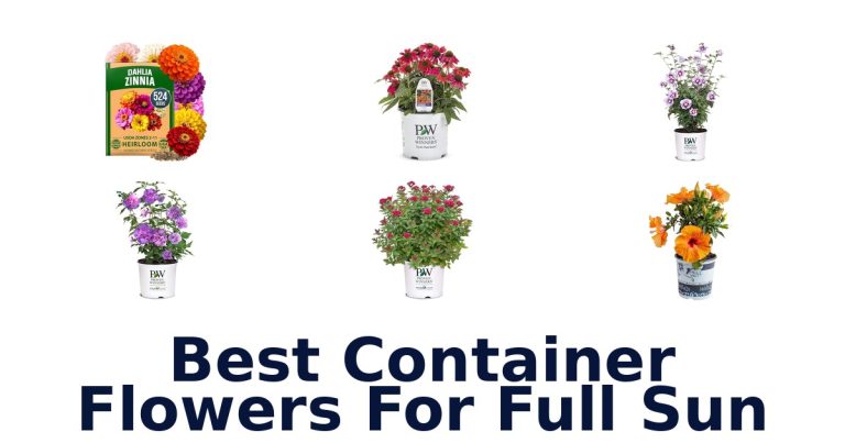 best container flowers for full sun