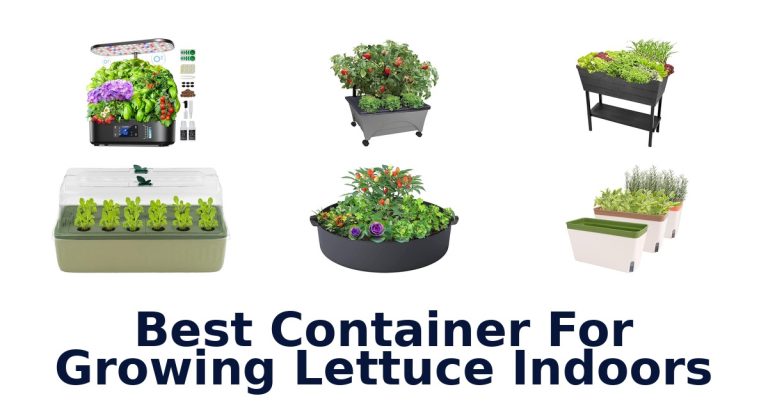 best container for growing lettuce indoors