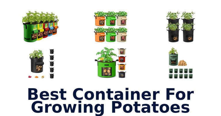 best container for growing potatoes