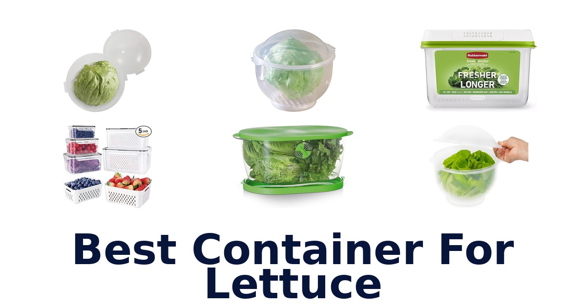 best container for lettuce