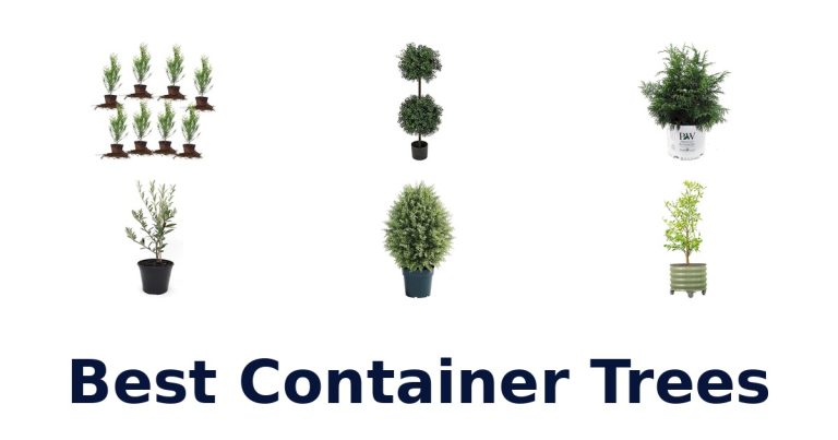 best container trees