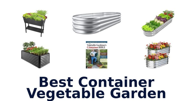 best container vegetable garden