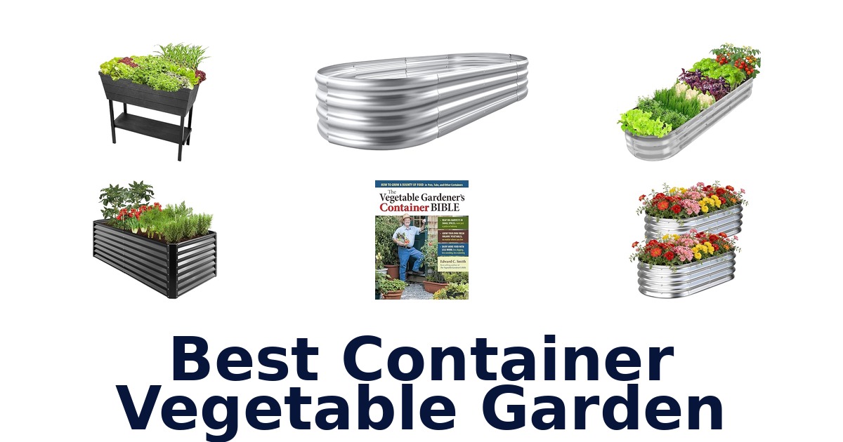 best container vegetable garden