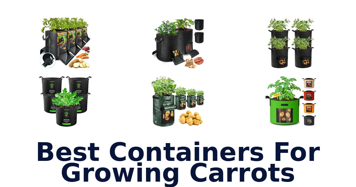 best containers for growing carrots