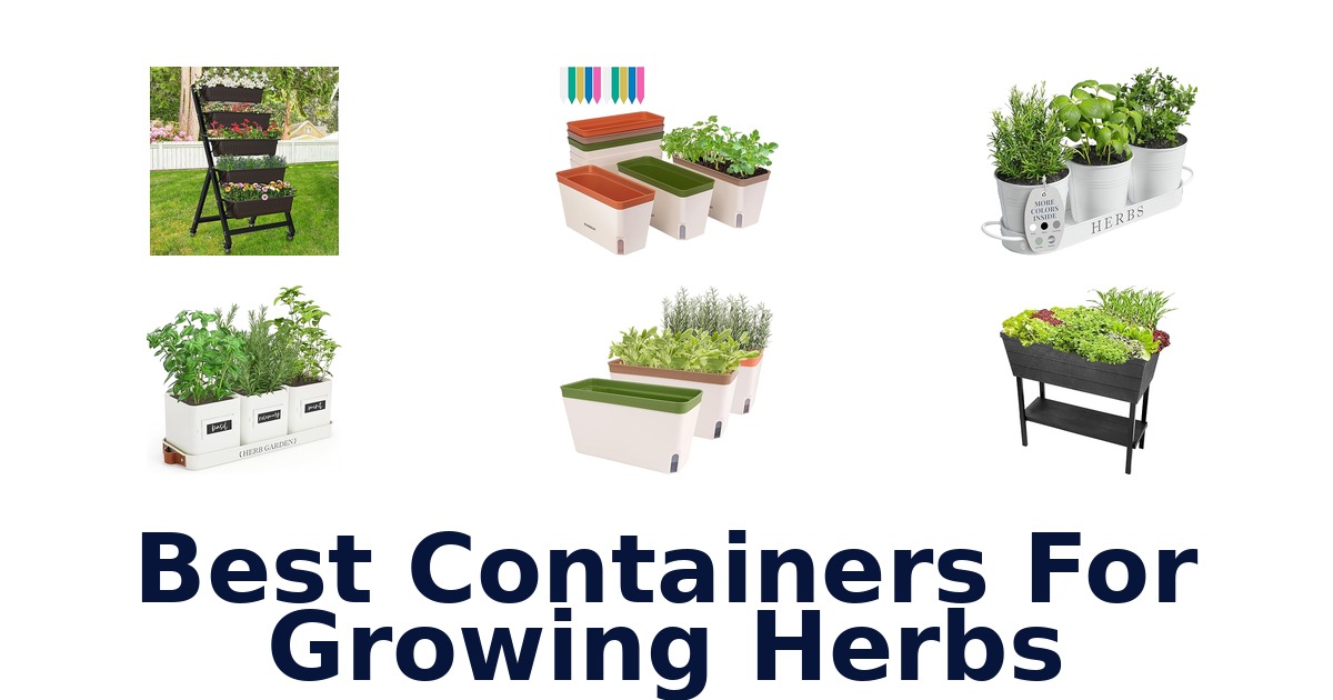 best containers for growing herbs