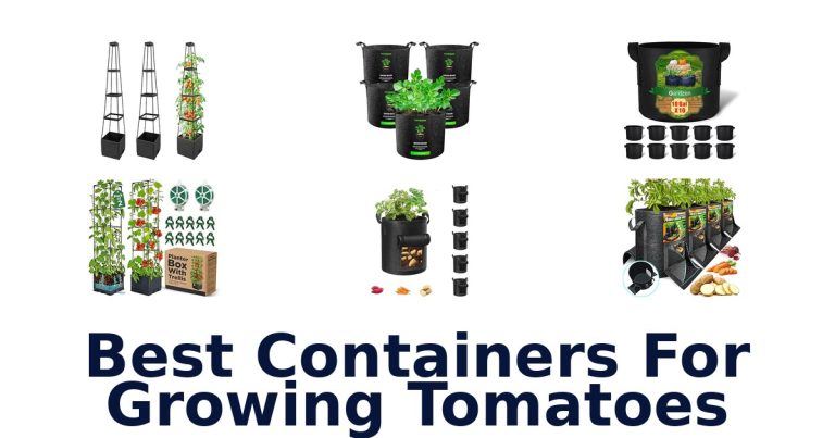 best containers for growing tomatoes