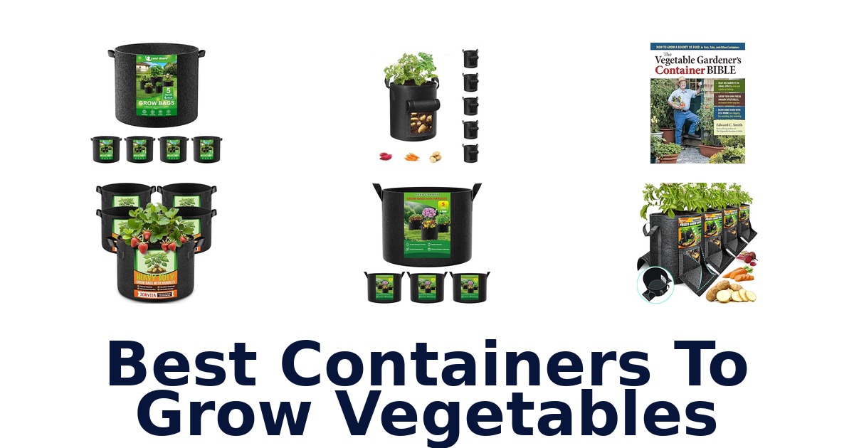 best containers to grow vegetables