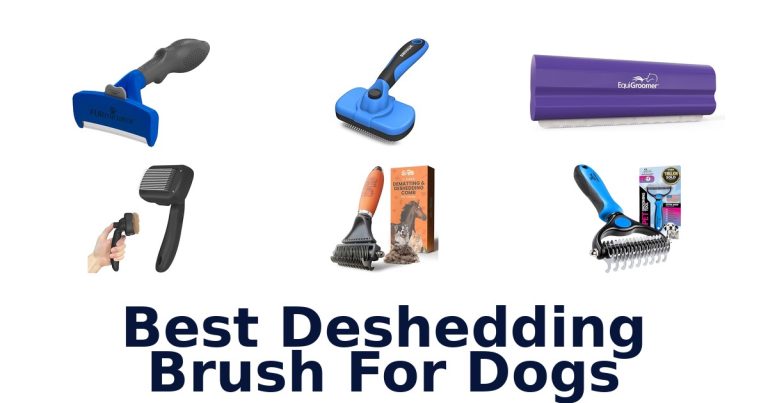 best deshedding brush for dogs