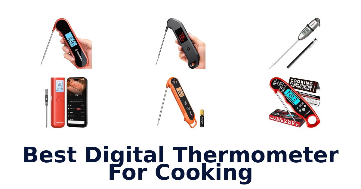 best digital thermometer for cooking