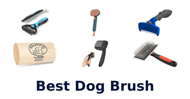 best dog brush