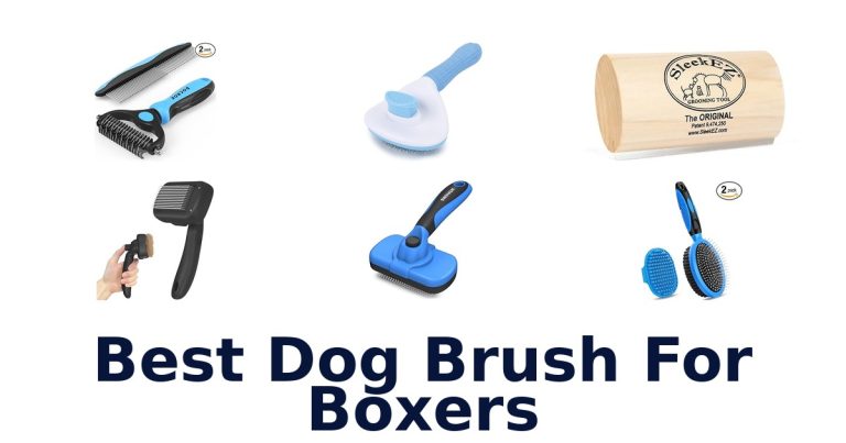 best dog brush for boxers