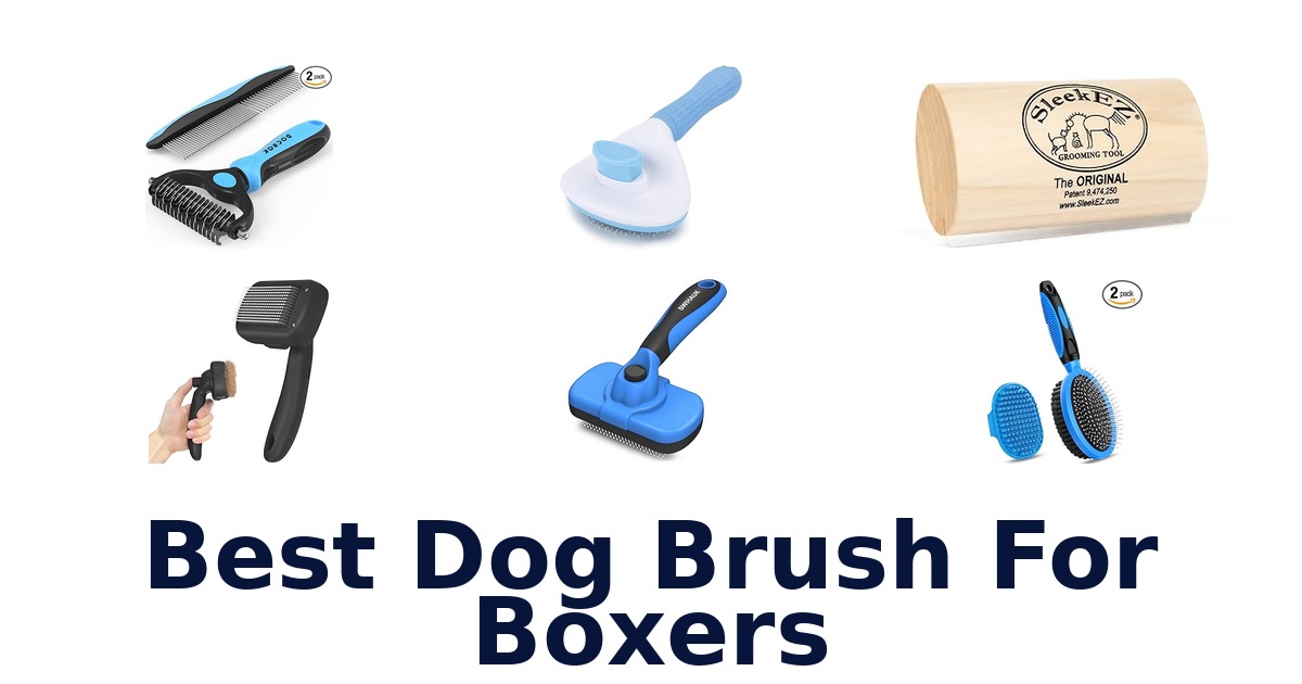 best dog brush for boxers