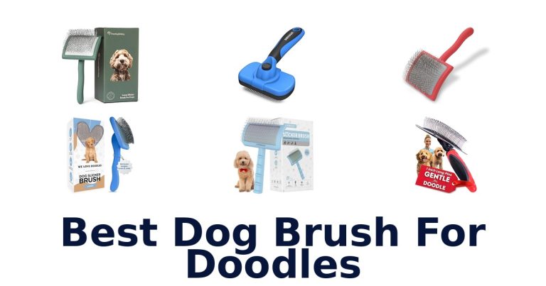 best dog brush for doodles