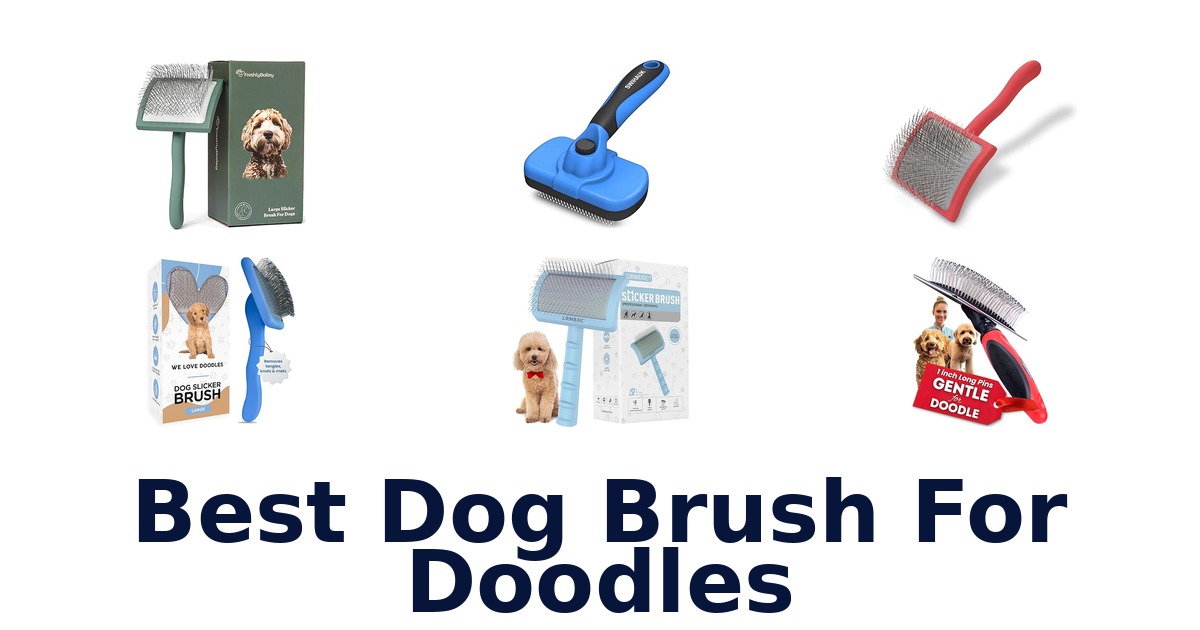 best dog brush for doodles