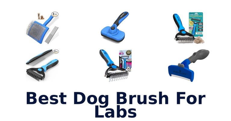 best dog brush for labs