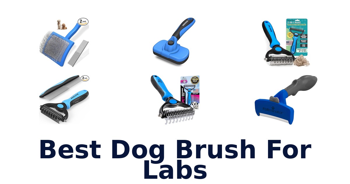 best dog brush for labs