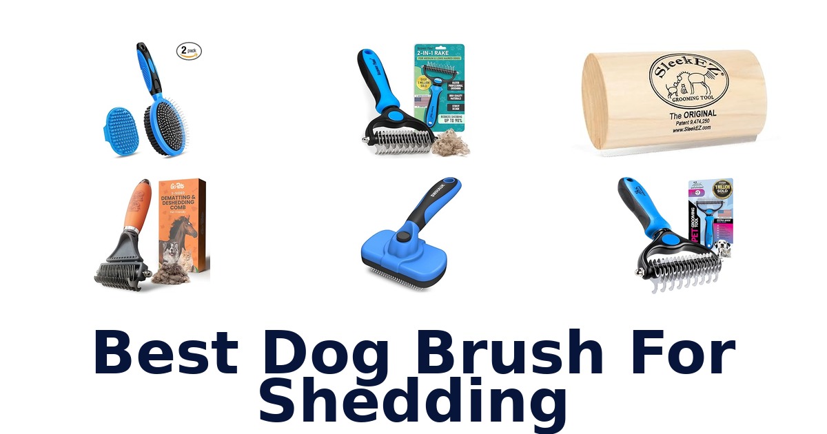 best dog brush for shedding