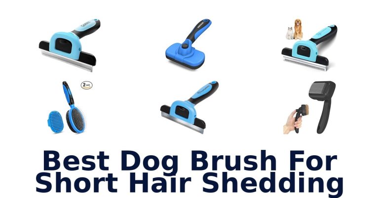 best dog brush for short hair shedding