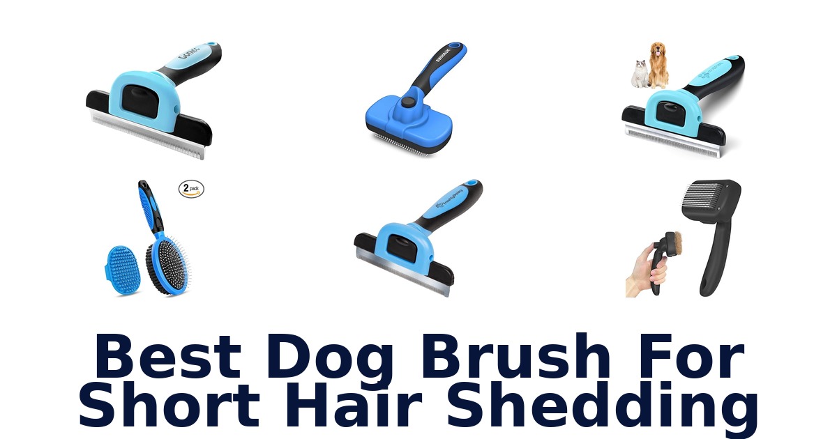best dog brush for short hair shedding