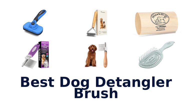 best dog detangler brush