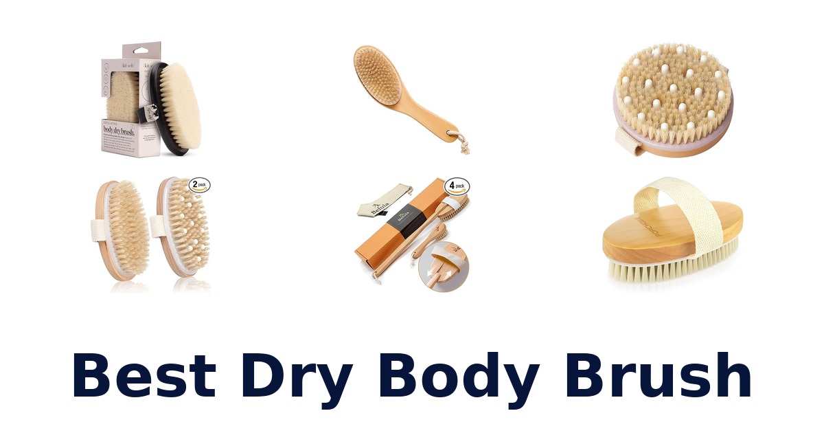 best dry body brush
