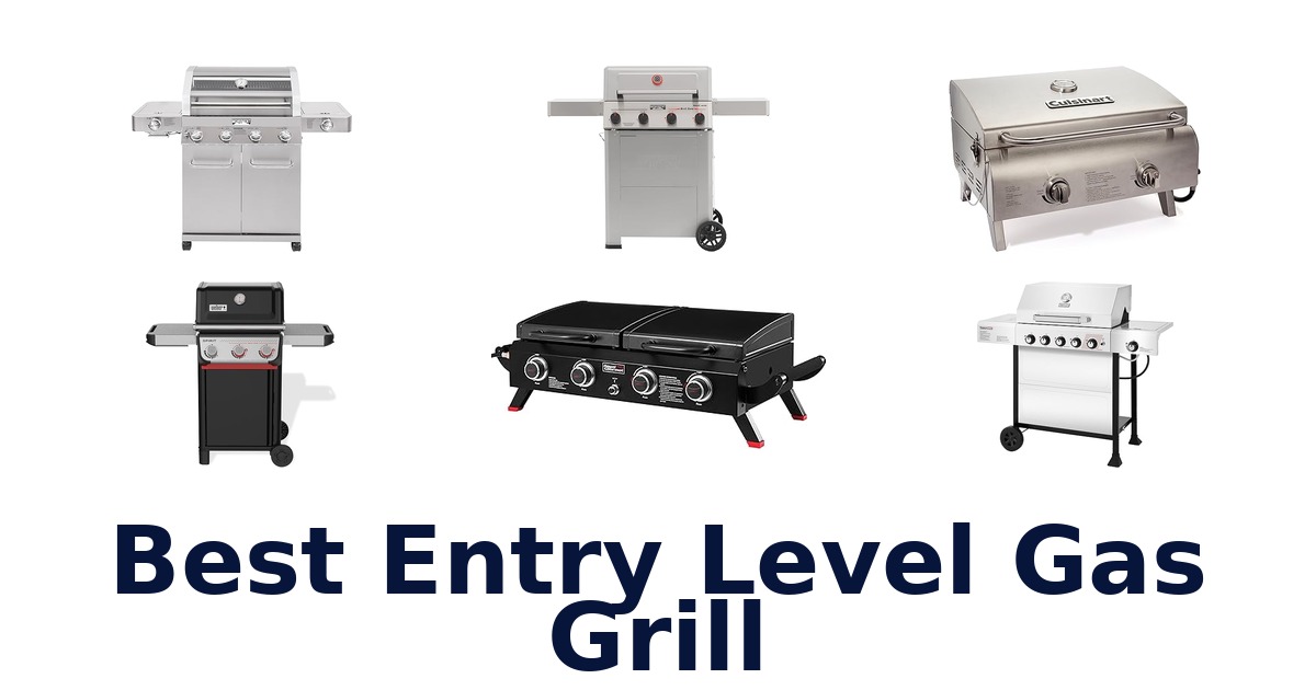 best entry level gas grill