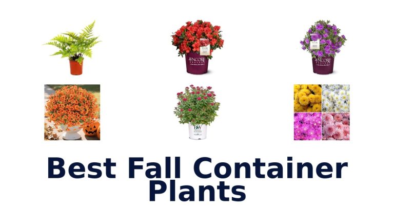 best fall container plants